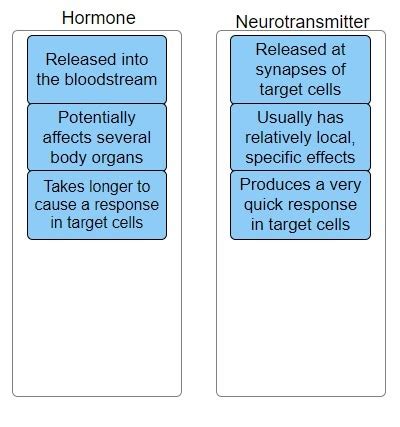 how are hormones similar to neurotransmitters quizlet